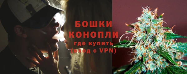 индика Мегион