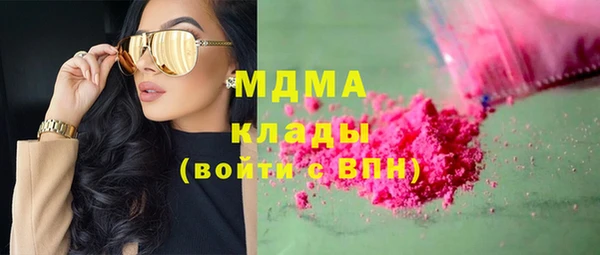 индика Мегион
