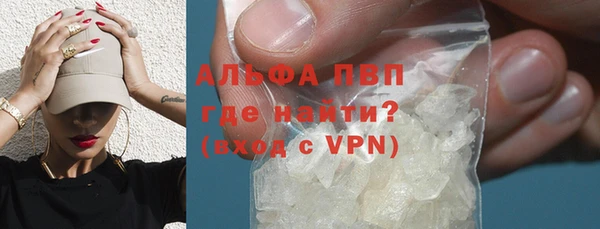 индика Мегион