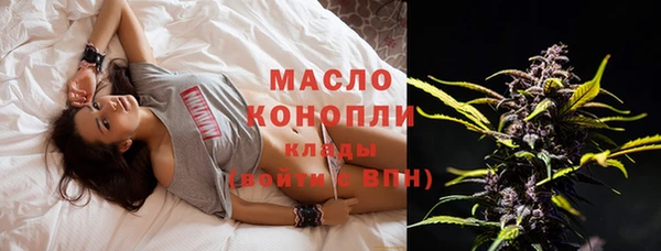 индика Мегион