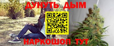 крисы Заводоуковск