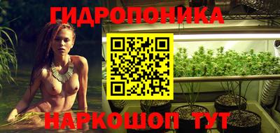 ECSTASY Заволжье