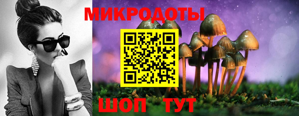 Калининград  Галлюциногенные грибы мухоморы  Вход с VPN 