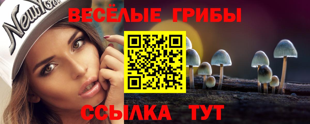 Галлюциногенные грибы мухоморы Калининград